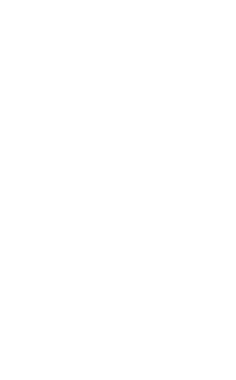 Capital Indigo